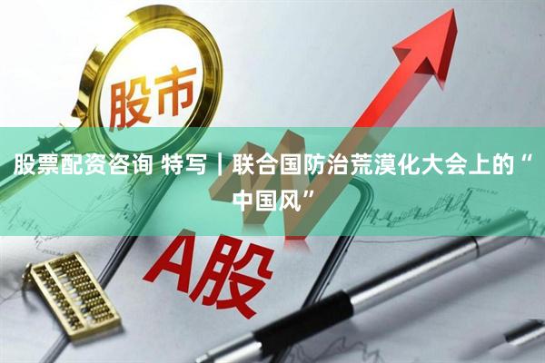 股票配资咨询 特写｜联合国防治荒漠化大会上的“中国风”